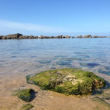 Casa Figueira 別荘 エリセイラ